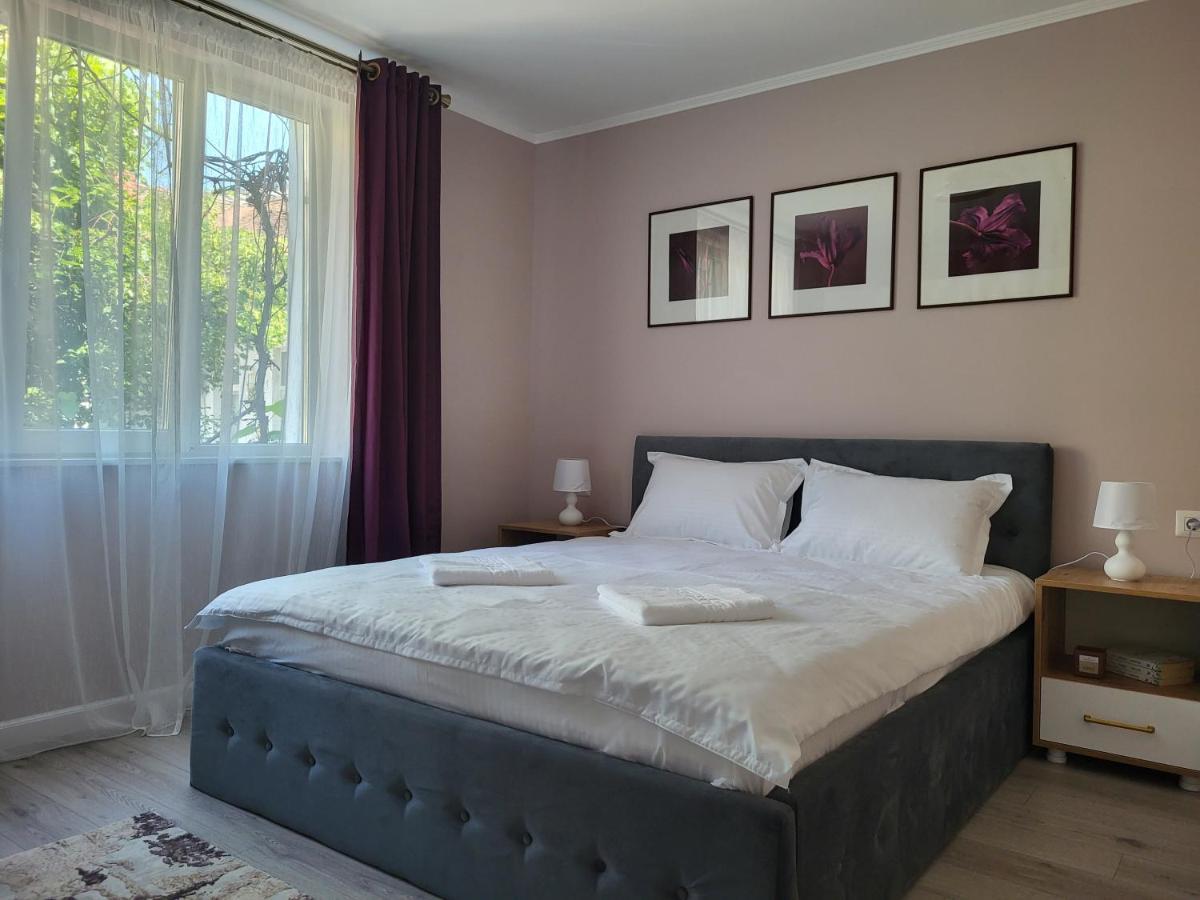 Pandora Central Apartment Kolozsvár Kültér fotó